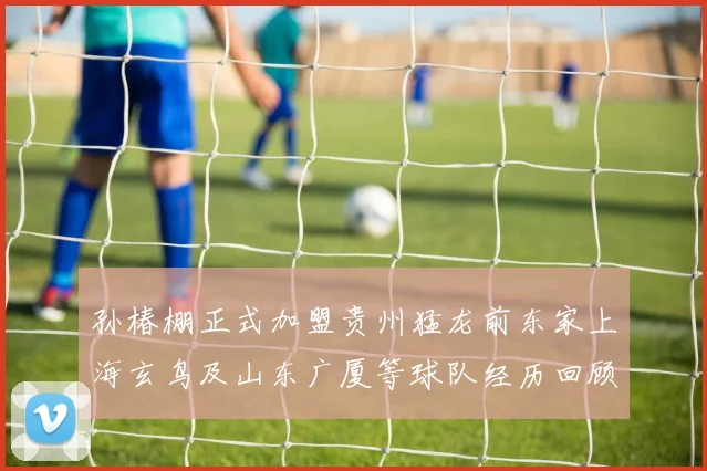 孙椿棚正式加盟贵州猛龙前东家上海玄鸟及山东广厦等球队经历回顾