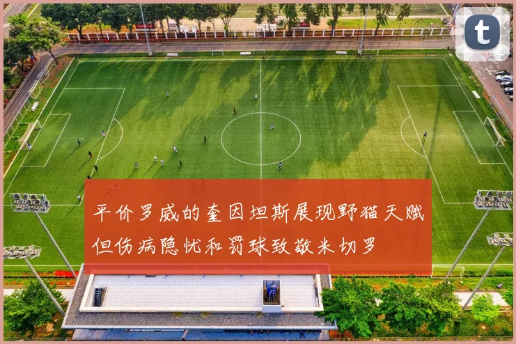 平价罗威的奎因坦斯展现野猫天赋但伤病隐忧和罚球致敬米切罗